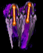 Gravereaver Cuisse